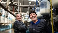 "One of the main reasons we won — we used no antibiotics for the past five years"