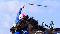 The art of the fall: The only cert in horse racing