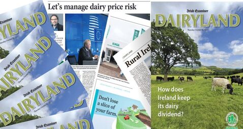 Dairyland_Splash.jpg Flick through our 32-page Dairyland e-paper for insights on Ireland's No1 agri-food sector