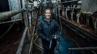 Women will play more prominent role in the future of Irish dairy Women will play more prominent role in the future of Irish dairy