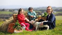 ifac Farm Report 2022 - photo 1.jpg Animal attractions for all the family to enjoy this Easter
