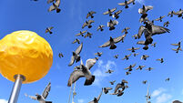 A selection of images chosen by the Irish Examiner picture desk