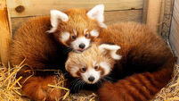 A selection of images chosen by the Irish Examiner picture desk