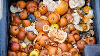 Flat Lay of Shattered Pumpkins After the Exciting Pumpkin Drop Event