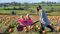 A selection of images chosen by the Irish Examiner picture desk