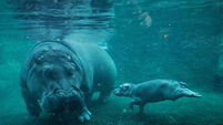 A selection of images chosen by the Irish Examiner picture desk