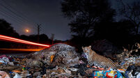 A selection of images chosen by the Irish Examiner picture desk