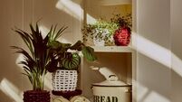 Wish List: Seven savvy buys to spruce up your home