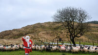 A selection of images chosen by the Irish Examiner picture desk