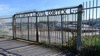 Plans for 170 homes at former Vita Cortex site approved following appeals to An Coimisiún Pleanála