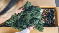 Unpacking the box of Christmas Tree