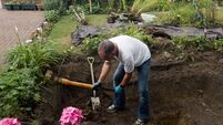 Pond reconstruction