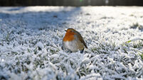 Cold enough to remember