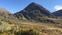 A week-long hike, a three-day hike, or a day out — the Kerry Way has it all