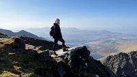 Energy, connection, and outdoor fun at Killarney's Wander Wild Festival