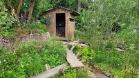 Peter Dowdall: Our garden isn't separate from the world beyond the fence