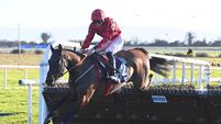 Needs Must and Speculateur should deliver for Gordon Elliott at Punchestown