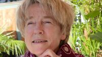 Musing on satire, power, and the long road to publication