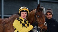 'You couldn't knock him today' - Townend praise as Salvator Mundi delivers at Thurles 