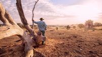 Australian Outback Farmer