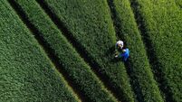 A Day in the Life of a Farmer