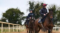 'It’s lovely to hear' - Jack Kennedy flattered by Ruby Walsh praise 