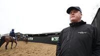 ‘Everything bouncing right’ for Gordon Elliott as he targets Cheltenham rebound