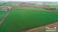 52ac South Tipp holding offered in four lots