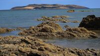 Lambay Island