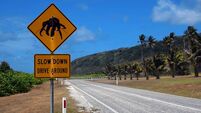 Crabs on the road traffic sign - Christmas Island
