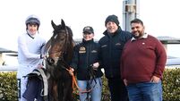 Star Strewn impresses on stable debut for Ado McGuinness in Dundalk