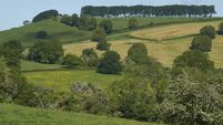 Summer in the Cotswolds