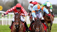 Weekend racing: Sa Fureur can edge Impaire Et Passe at Gowran