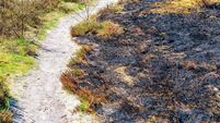 Rotational heather burn