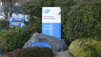 Irish exports hit record highs driven by a near 40% increase in pharmaceuticals 