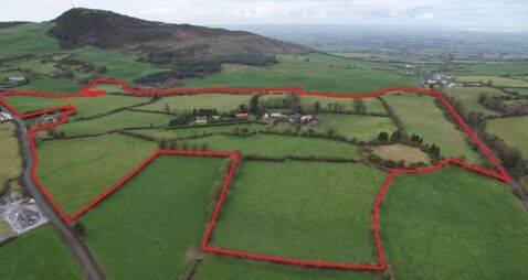 46-acre Limerick lands guiding over €16k/acre at auction