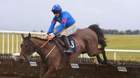 Timeless Treaty can edge out Open Secret in Thurles tussle 
