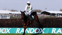 Aintree Races