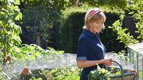Five of the best gardening jobs to boost wellbeing in spring