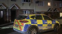 Petrol bomb attacks on homes should be treated as attempted murder, says Cork TD
