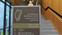 'You won’t be able to recognise your face': Cork man threatened to throw acid over ex-partner