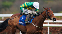 Mark Walsh onboard Narciso Has comes home to win 2/2/2026