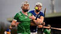 Limerick v Tipperary - Allianz Hurling League Division 1A
