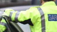 Teenage pedestrian killed in Navan hit-and-run named locally