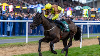 Paul Townend onboard Galopin Des Champs during the race 2/2/2026