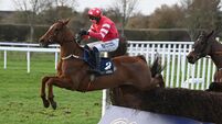 Blood Destiny bounces back in style for Willie Mullins and Paul Townend in Naas
