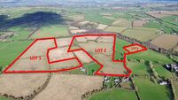 86-acre Wexford farm guiding at €15k/acre for April auction