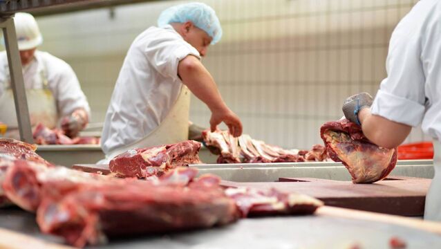 <p>It is not accidental that throughput at the factories continues at almost identical levels week after week. </p>