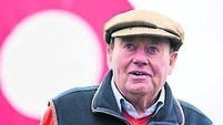 Cheltenham Festival Gallops Morning - Kempton Park Racecourse
