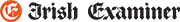 IE Logo